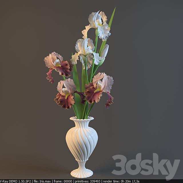 Irises in a vase 3DSMax File - thumbnail 1