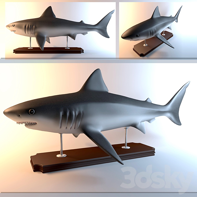 Shark 3DSMax File - thumbnail 1
