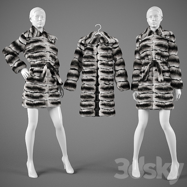 Chinchilla fur coat. 3DSMax File - thumbnail 1