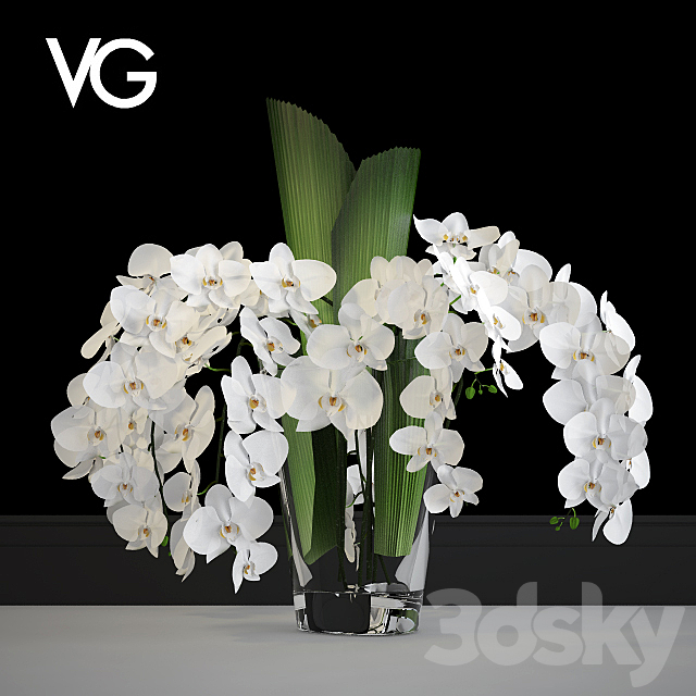 Decorative arrangement of orchids VG 3DSMax File - thumbnail 1