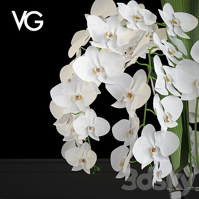 Decorative arrangement of orchids VG 3DSMax File - thumbnail 2