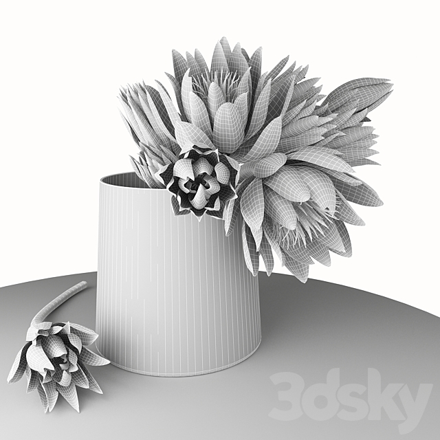 3d