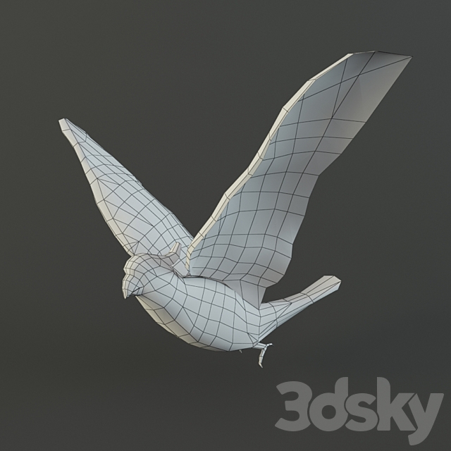 Parrot cockatoo 3d