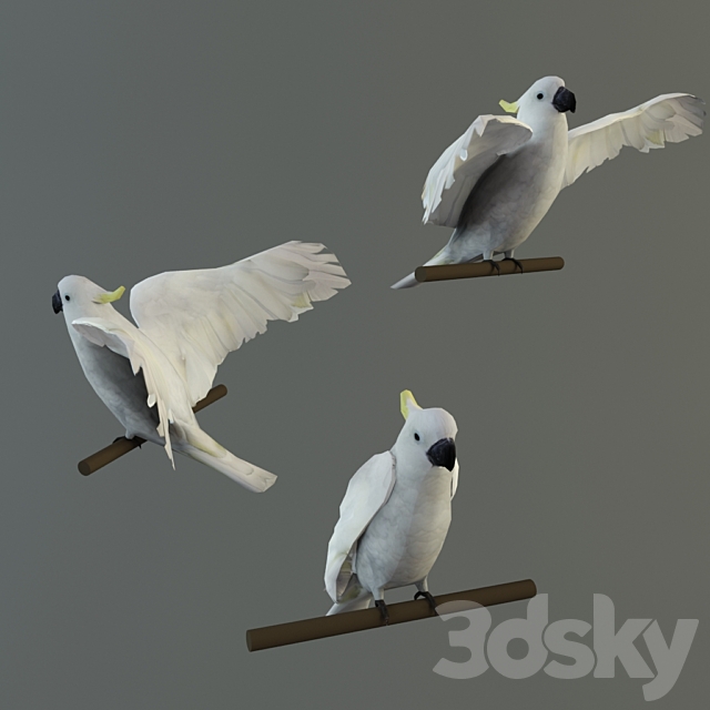 3dsky Free Download