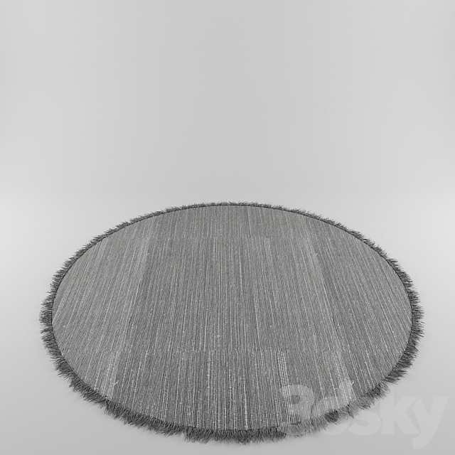 Shaggy carpet with round piping 3d