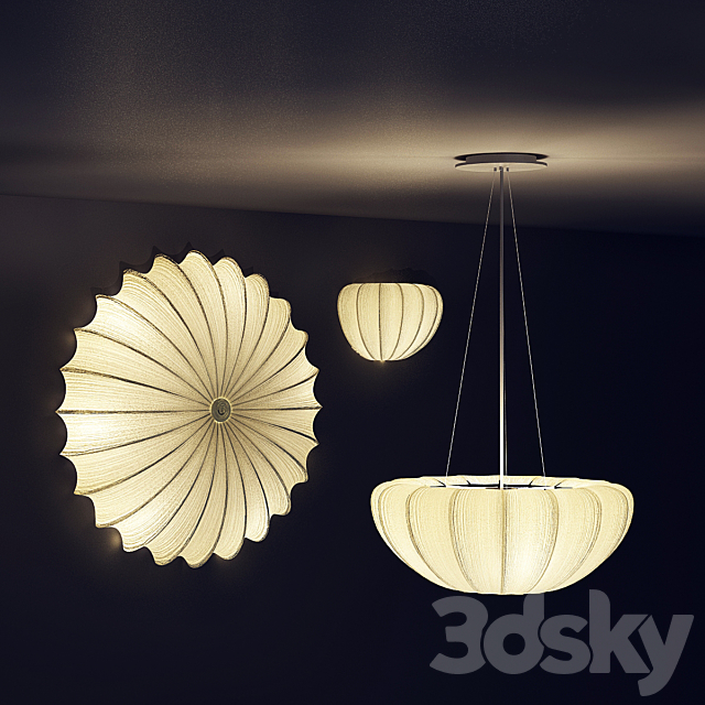 3d