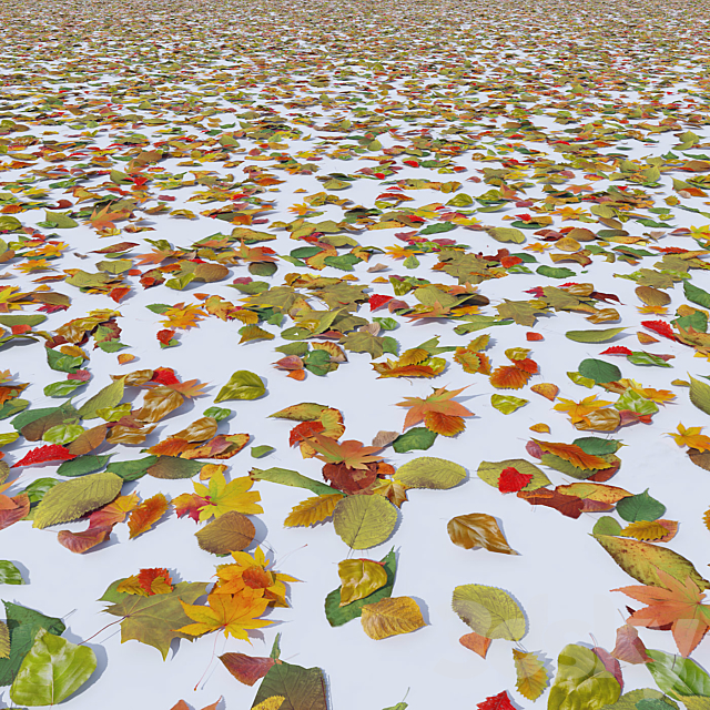 Autumn leaves 3DSMax File - thumbnail 1