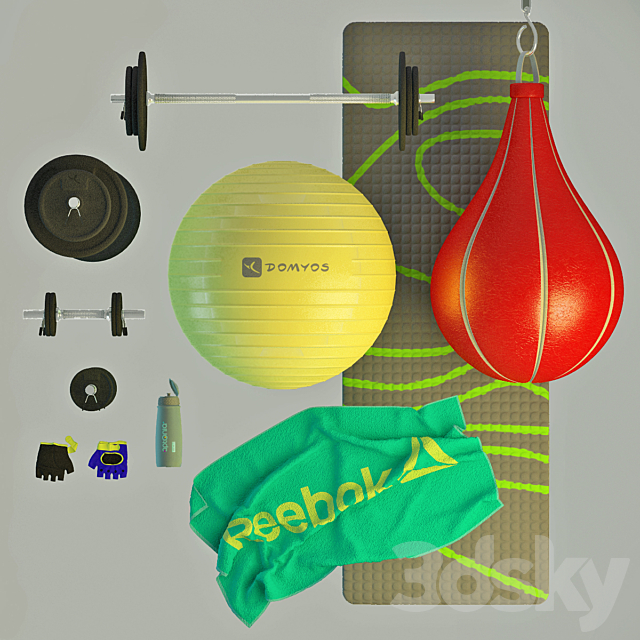 Inventory for Fitness 3DSMax File - thumbnail 2