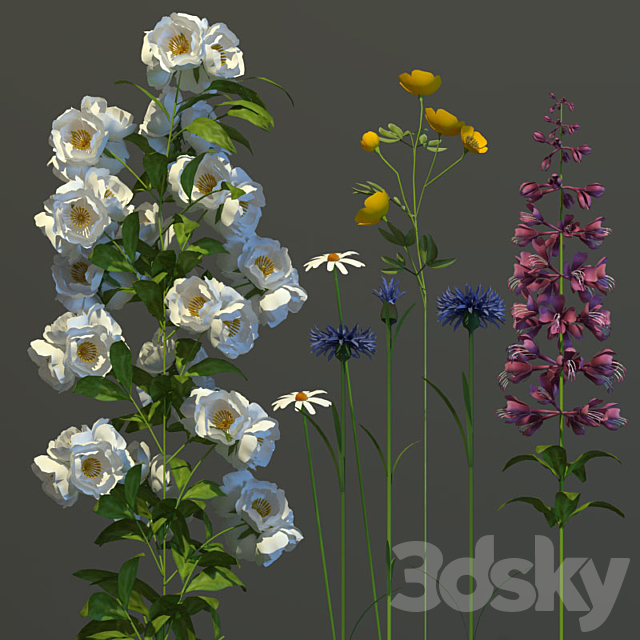 Bouquet of wildflowers 3DSMax File - thumbnail 2
