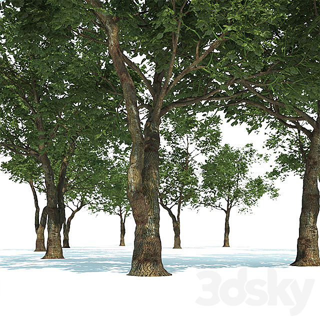 3dsky Free Download