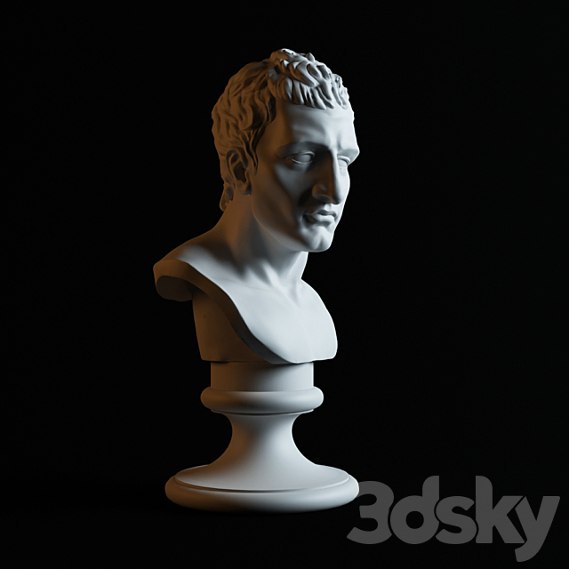 Bust of Napoleon 3d