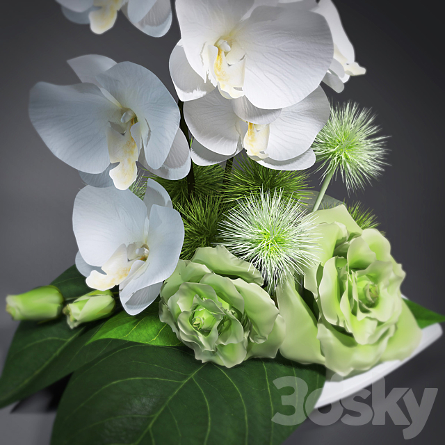 3dsky Free Download