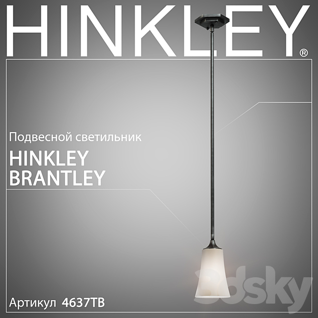 Hanging lamp Hinkley Brantley 4637TB 3DSMax File - thumbnail 1
