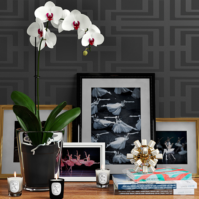 Decorative set with orchid and architect. magazines 3DSMax File - thumbnail 1