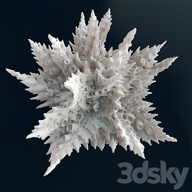 «Octopus» 3d