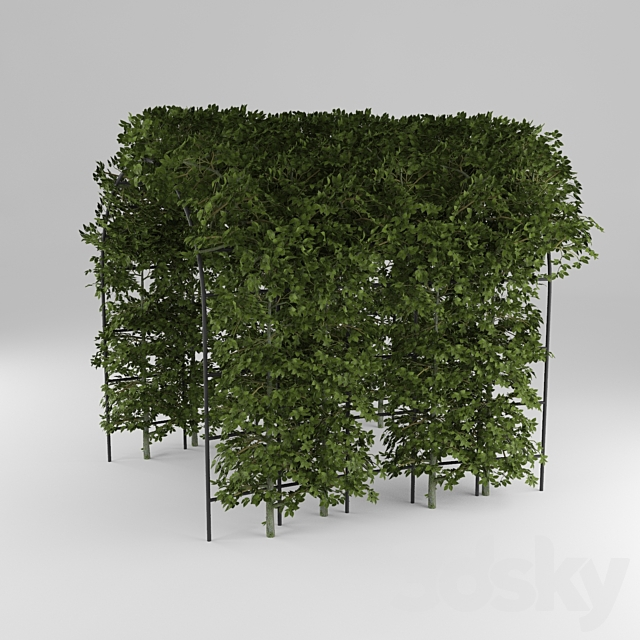 3d