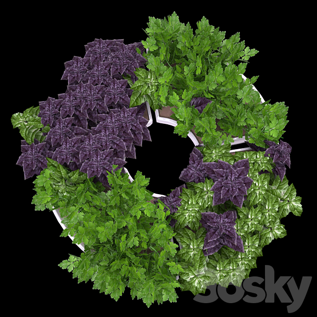 3dsky Free Download