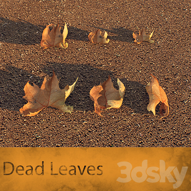 Dead Leaves 3DSMax File - thumbnail 3