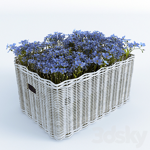 Basket with Forget-Me Free Download