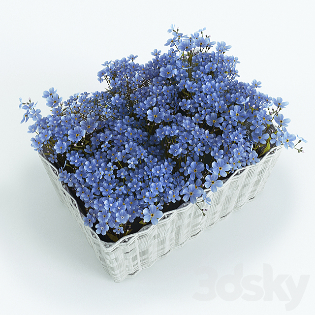 3d
