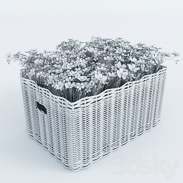 3dsky Free Download