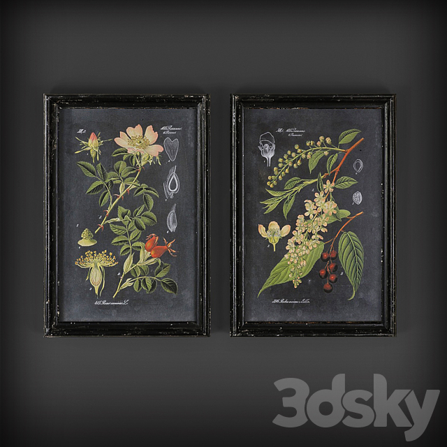 Kartiny27 Free Download