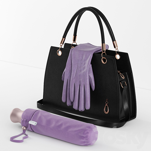 bags. gloves and an umbrella in the bag 3DSMax File - thumbnail 1