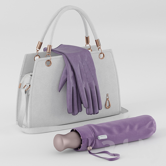 bags. gloves and an umbrella in the bag 3DSMax File - thumbnail 2