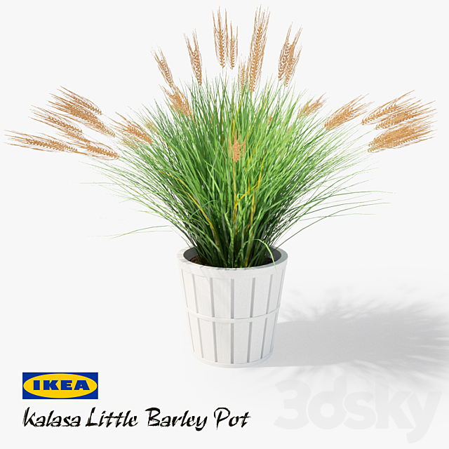 IKEA Kalasa Plant Pot and Little Barley 3DSMax File - thumbnail 1