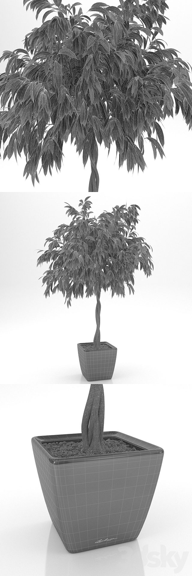 3dsky Free Download