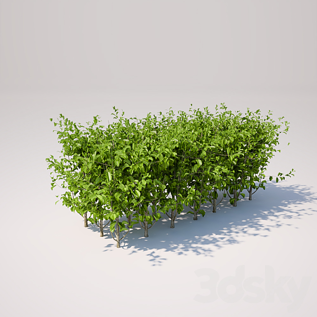 3d