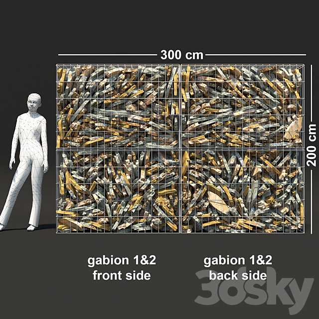 3d