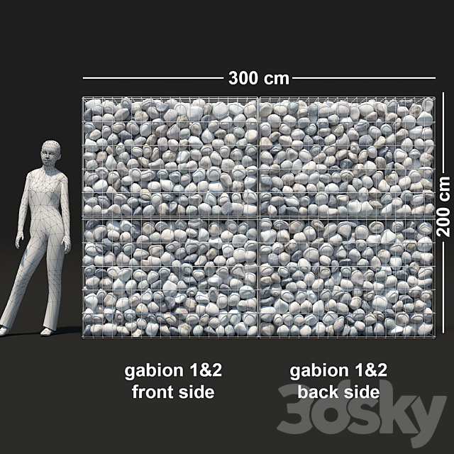 3d