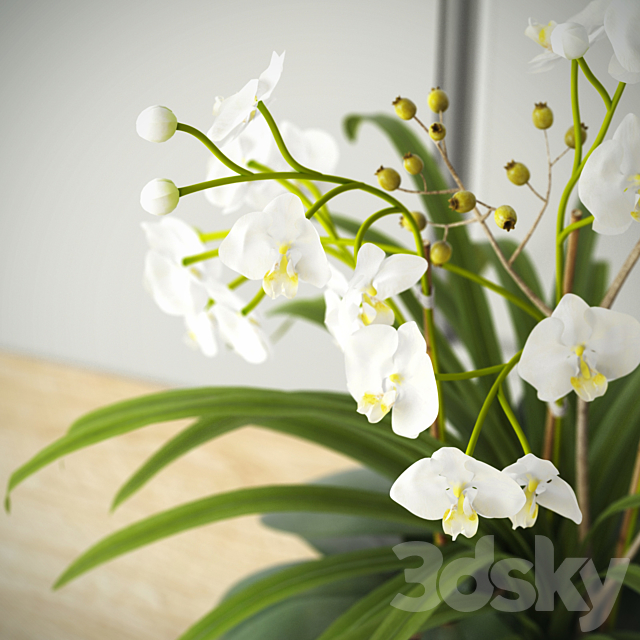 composition with orchids 3DSMax File - thumbnail 2