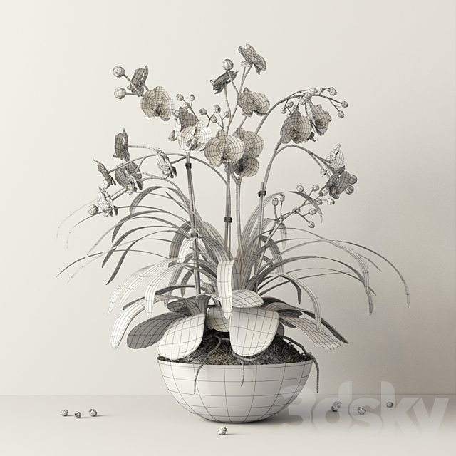 composition with orchids 3DSMax File - thumbnail 3