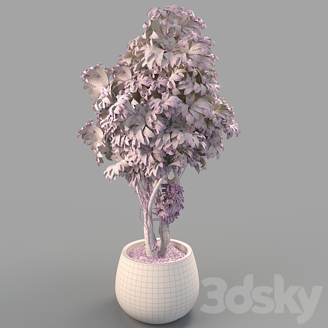 3d
