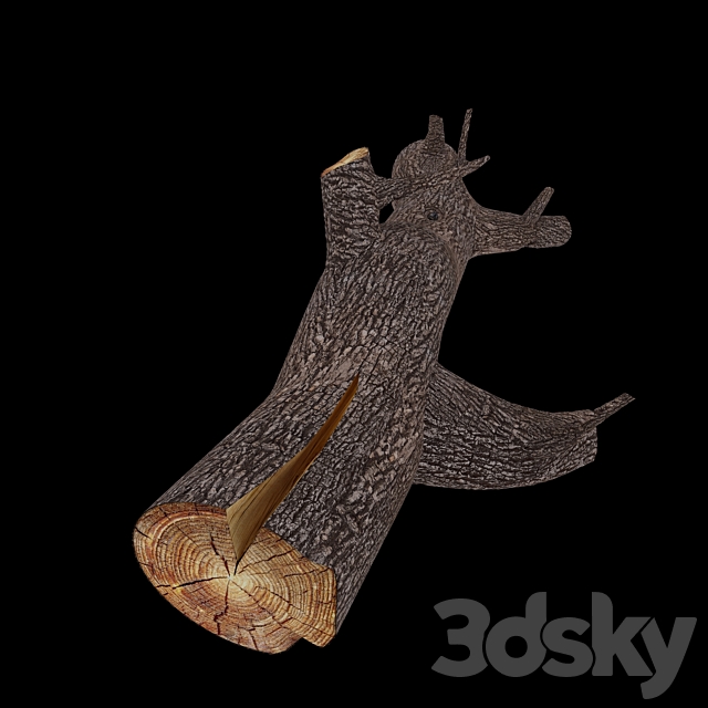Dmodel_trunk 3d