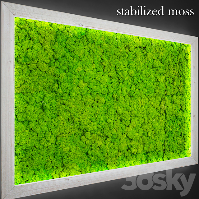 Stabilized moss. 3d