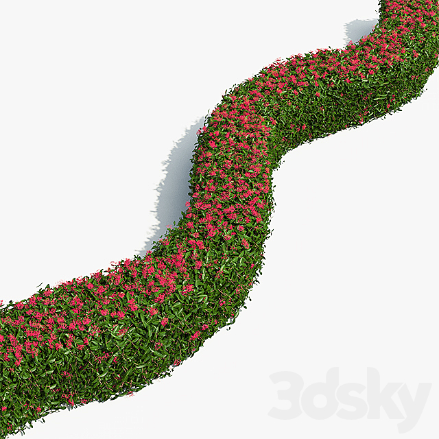 Delightful hedges 3DSMax File - thumbnail 3