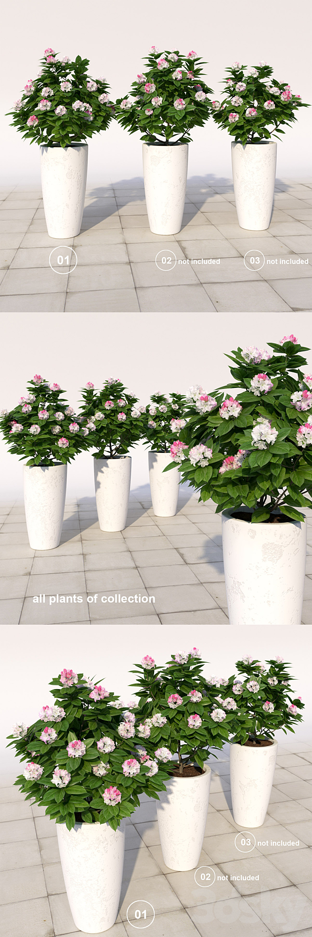 01 Rhododendron blossoming _ Rhododendron 3DSMax File - thumbnail 3