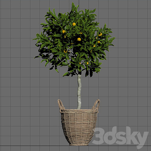 Lemon Tree 3DSMax File - thumbnail 3
