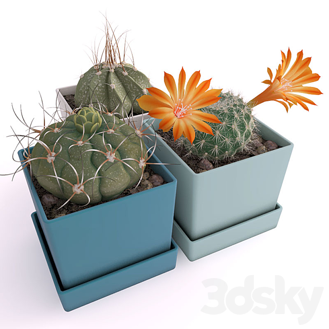 Three cactus 3DSMax File - thumbnail 1