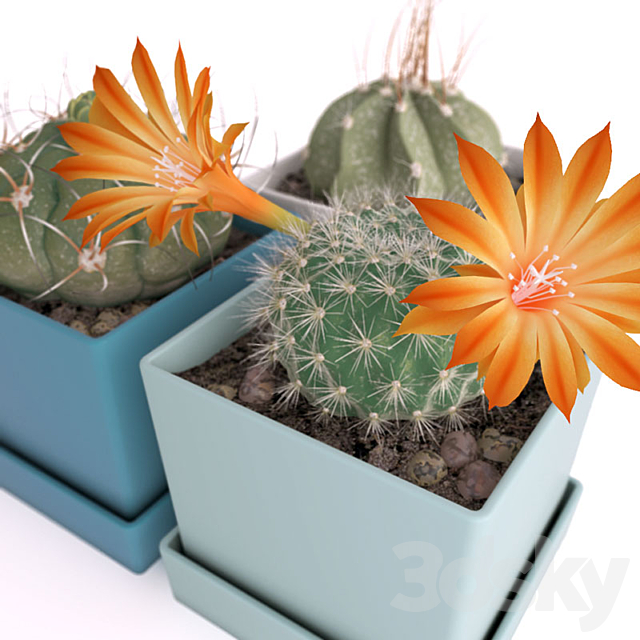 Three cactus 3DSMax File - thumbnail 3
