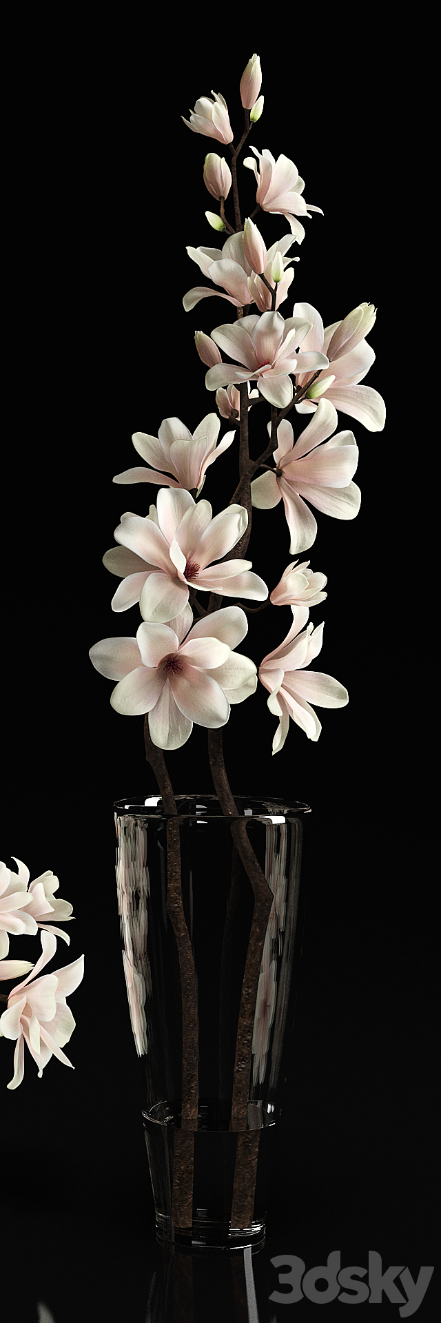 Magnolia 2 3d