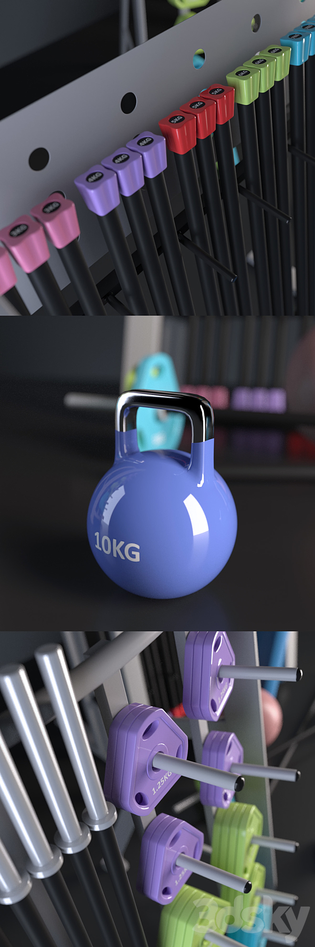 Fitness accessories _ Fitness Accessories 3d