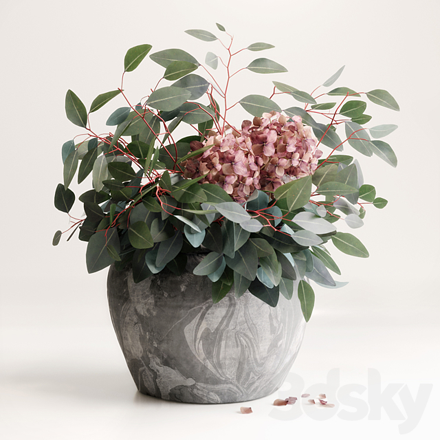 Bouquet of Eucalyptus with Hydrangea 3DSMax File - thumbnail 1