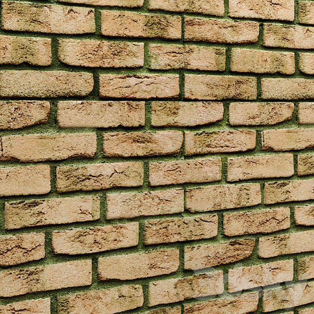 Brickwork 3DSMax File - thumbnail 2