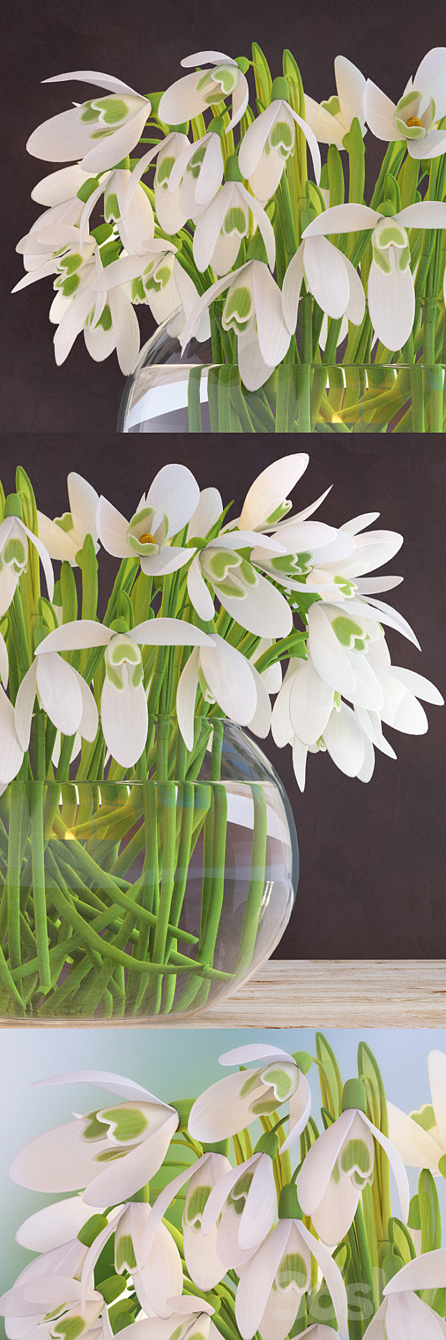 Snowdrops in a vase 3d