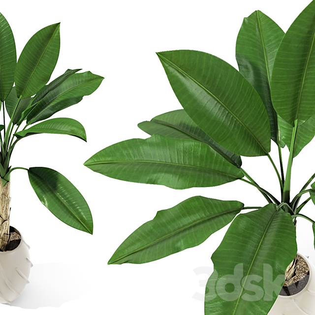 3dsky Free Download