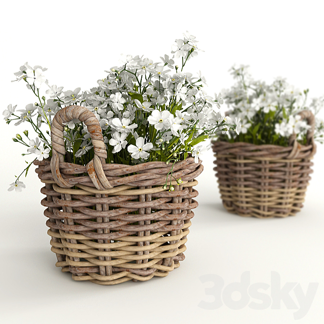 Flower baskets 3DSMax File - thumbnail 1
